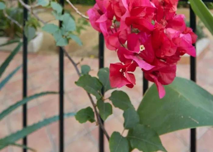 Holiday home Corazon De Jerez Edificio De 1861