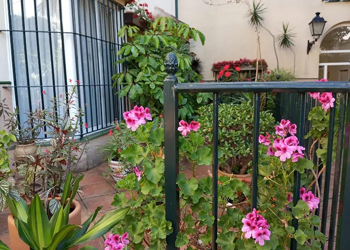 Corazon De Jerez Edificio De 1861 Holiday home Jerez de la Frontera