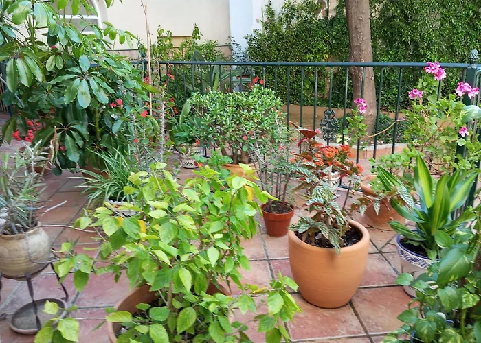 Corazon De Jerez Edificio De 1861 *