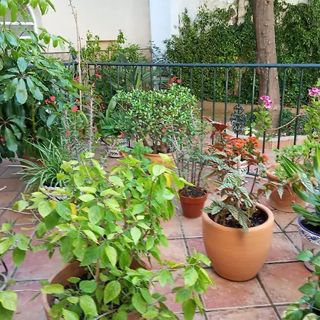 Corazon De Jerez Edificio De 1861 *